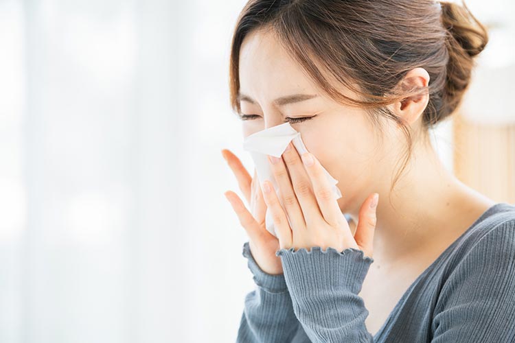 鼻の病気のイメージ